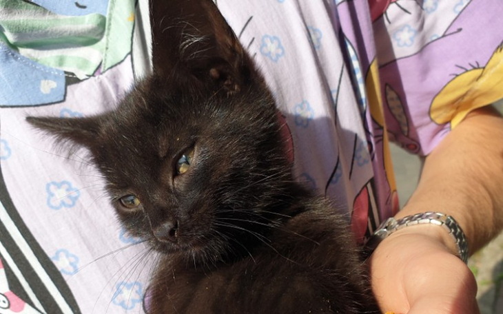 Zbiórka Drezynka - zdjęcie główne