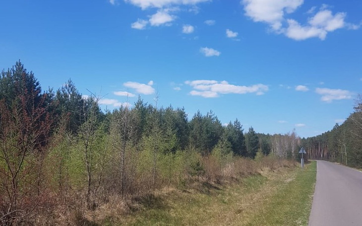 Zbiórka Kochani liczy się każdy gest - zdjęcie główne