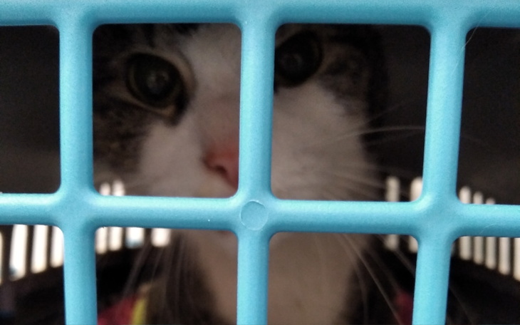 Zbiórka Zbiórka na Franka - zdjęcie główne