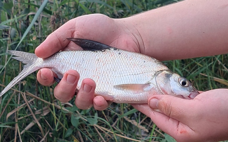 Zbiórka Na nowy sprzęt wędkarski iponton - zdjęcie główne