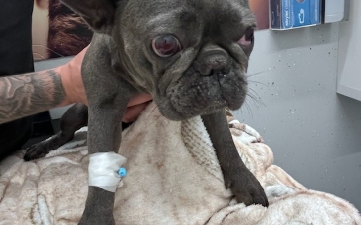 Zbiórka TOSIA dla POWODZIAN - zdjęcie główne