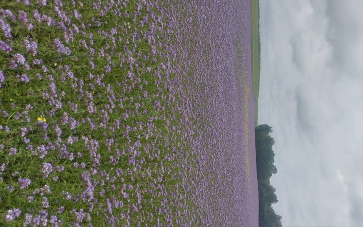 Zbiórka Na oddanie zaduzenia - zdjęcie główne