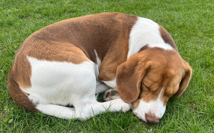 Zbiórka Podróż do bezpiecznego miejsca - zdjęcie główne