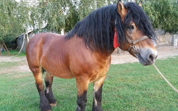 Zbiórka Oszukać los.. - zdjęcie główne