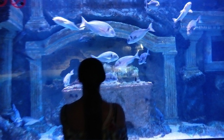 Zbiórka Małe wielkie marzenie. - zdjęcie główne