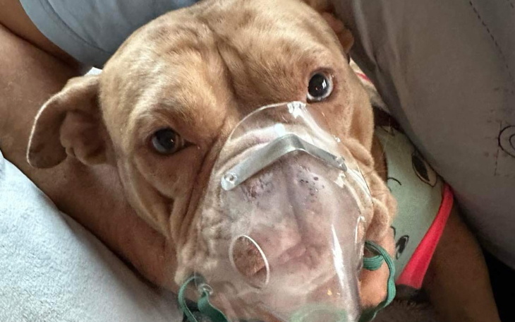 Zbiórka Ratuj z nami - zdjęcie główne