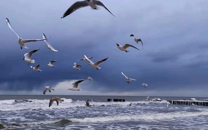 Zbiórka Wspierać mamę i dzieci - zdjęcie główne