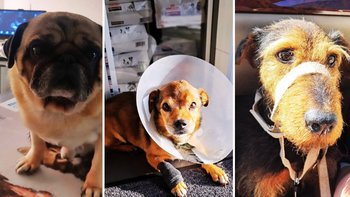 Zbiórka Pomóż nam wyjść z długów - miniaturka zdjęcia