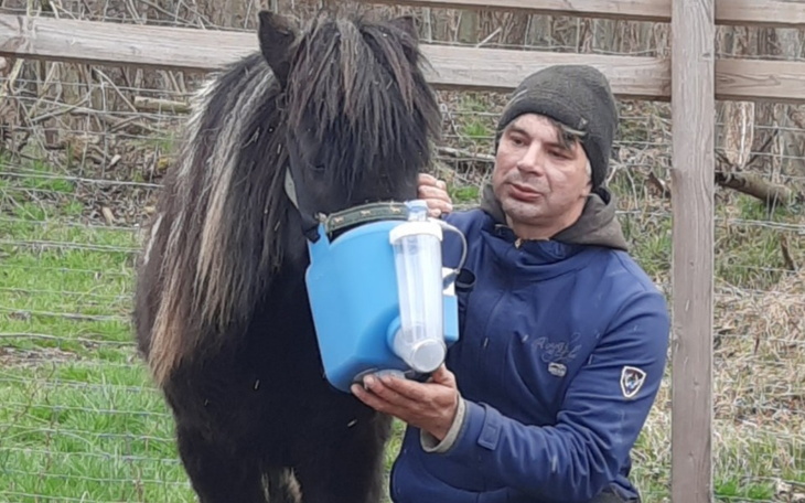 Zbiórka Na inhalator dla kucynki Luna - zdjęcie główne