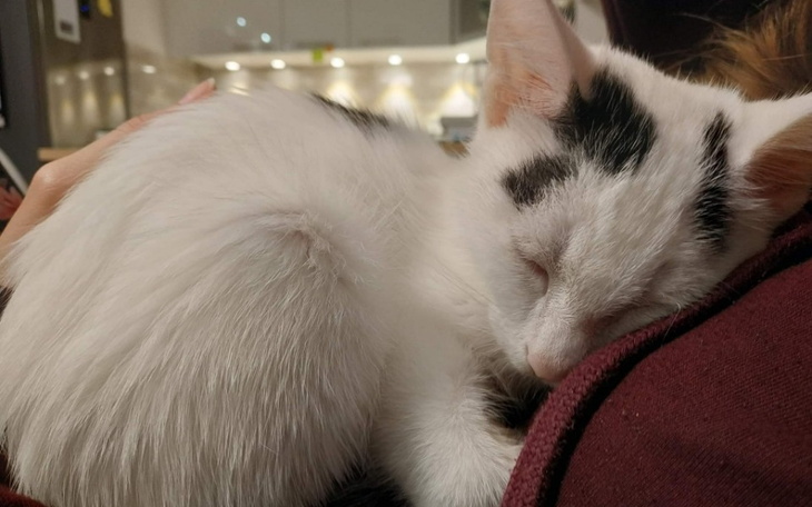 Zbiórka Daj życie naszemu maluszkowi - zdjęcie główne