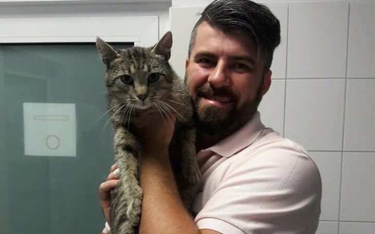 Zbiórka Zbiórka na kastrację 5 kocurów - zdjęcie główne