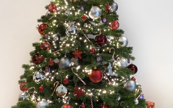 Zbiórka Organizacja świąt - zdjęcie główne