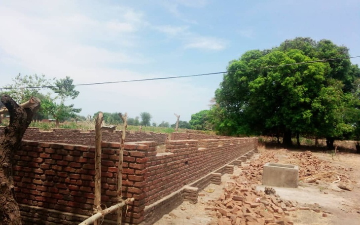 Widok na budowę z cegieł w otoczeniu drzew.