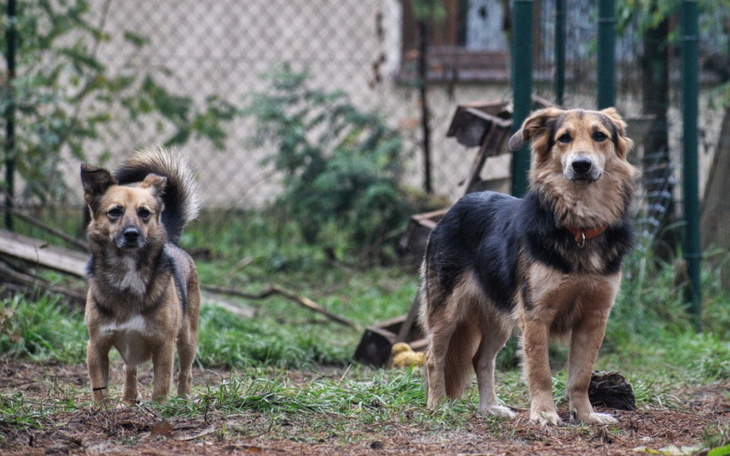 Zbiórka Wsparcie dla Mony i Leona - zdjęcie główne