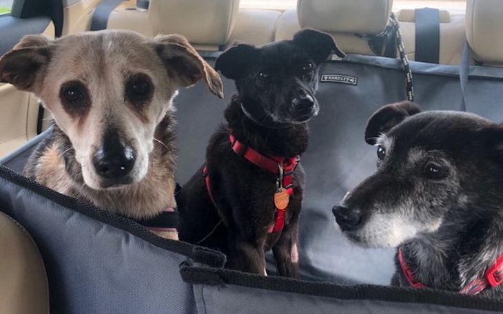 Zbiórka Na spłatę zadłużenia za leczenie - zdjęcie główne