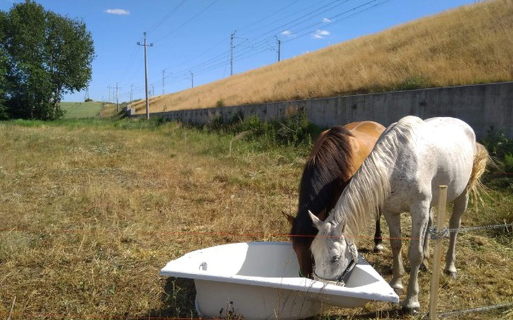 Zbiórka Budowa trzech boksów - zdjęcie główne