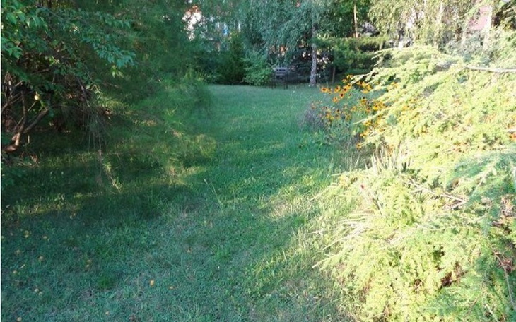 Zbiórka Kawałek ziemi dla Matki i Córki - zdjęcie główne