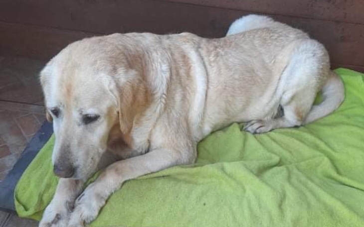Zbiórka Walka seniorów z kleszczami - zdjęcie główne