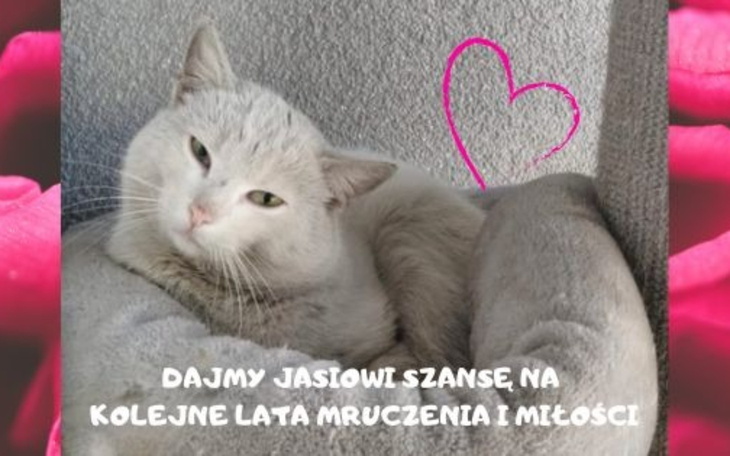 Młoda osoba z tatuażami, robiąca selfie w lustrze.