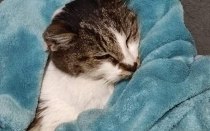 Zbiórka Chcę żyć, pomóż mi proszę.. - zdjęcie główne