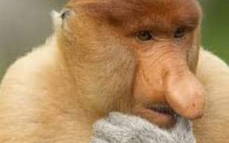 Zbiórka Sylwester z Grażyna - zdjęcie główne