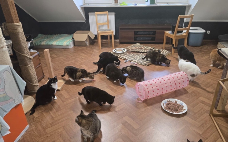 Zniszczona zabawka w kształcie misia, pokryta brudem.