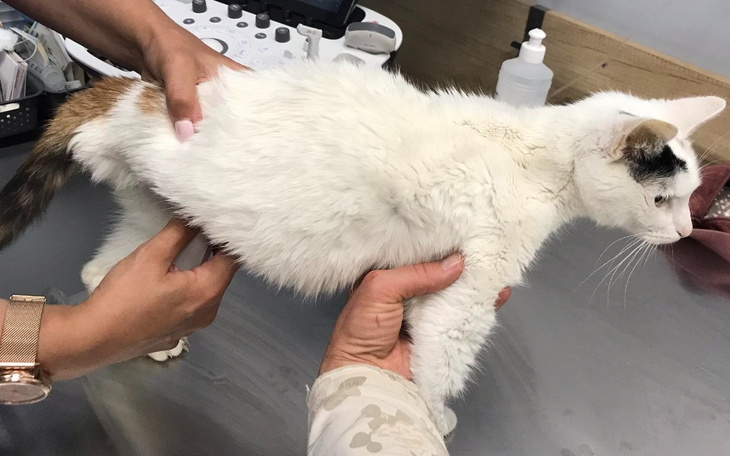 Zbiórka Porzucona,ale warta walki-Sandra - zdjęcie główne