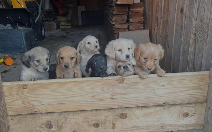 Zbiórka Rozpocząć nowe życie - zdjęcie główne