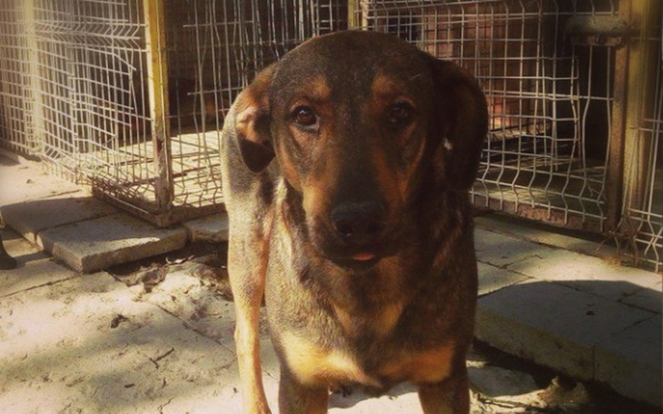 Zbiórka Podróż Kapitana - zdjęcie główne