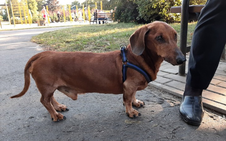 Zbiórka By wracać do domu bez bólu - zdjęcie główne