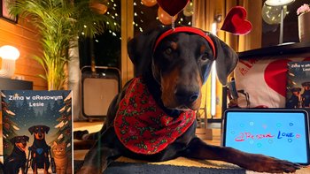 Zbiórka aResowe Lowe 2026 - miniaturka zdjęcia