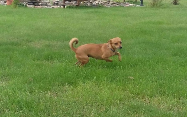 Zbiórka Nowa droga - zdjęcie główne