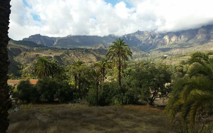 Zbiórka Domek pod palmą - zdjęcie główne