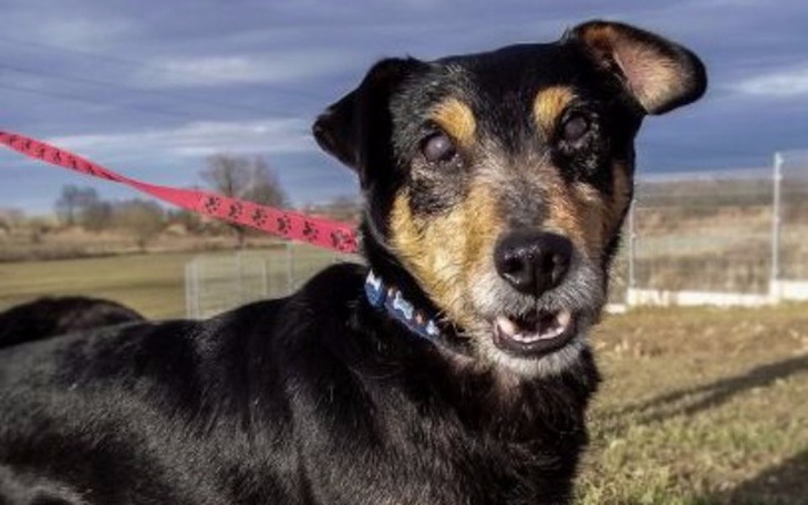 Zbiórka dla Mańka ! - zdjęcie główne