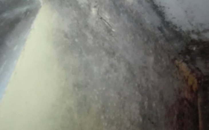 Zbiórka Pomóż normalnie żyć - zdjęcie główne