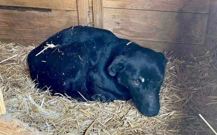 Zbiórka Wesprzyj Kinię w listopadzie - zdjęcie główne