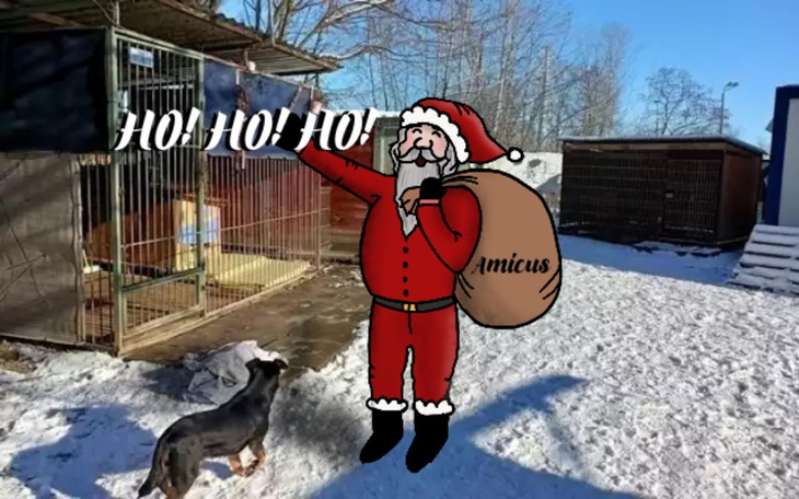 Zbiórka Świąteczna Zbiórka dla AMICUSA - zdjęcie główne