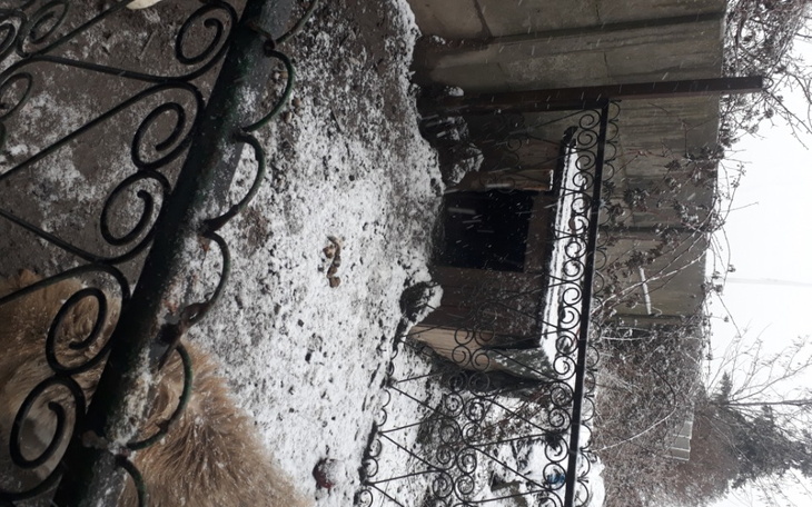 Zbiórka Na nową bude dla pieska - zdjęcie główne