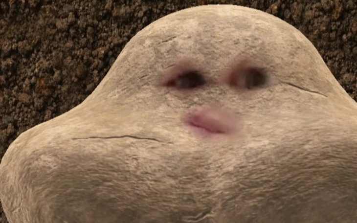 Zbiórka Wyjazd do Afryki bo lubię kangur - zdjęcie główne