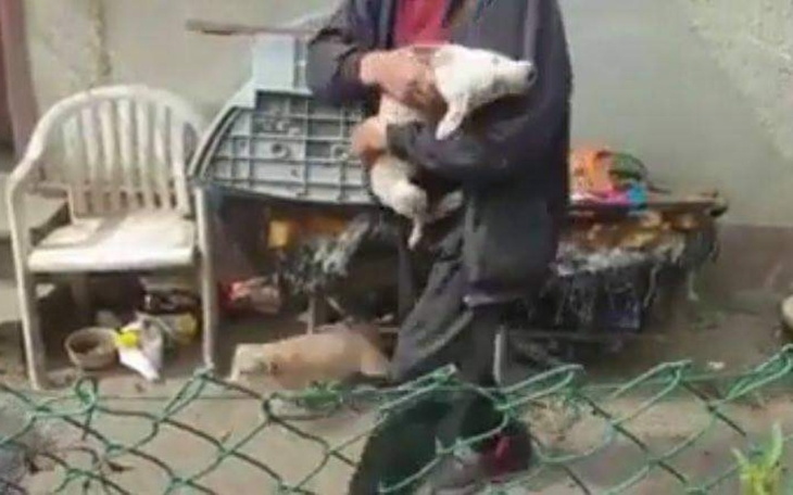 Mężczyzna trzyma psa, w tle widać inne zwierzęta.