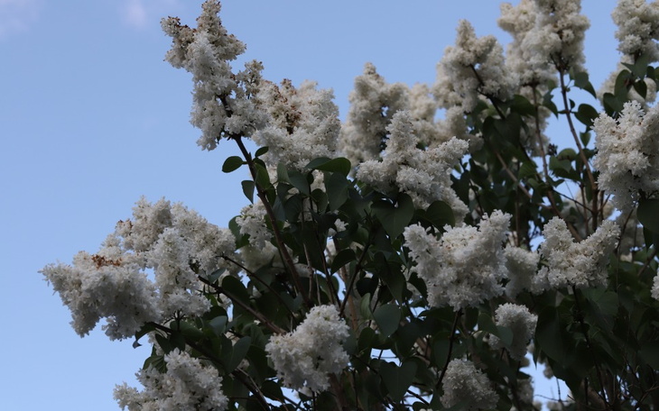 Zbiórka Wynajem mieszkania nowe życie - zdjęcie główne