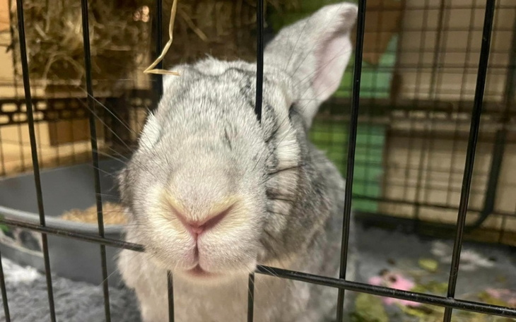 Zbiórka Grudniowe faktury - zdjęcie główne