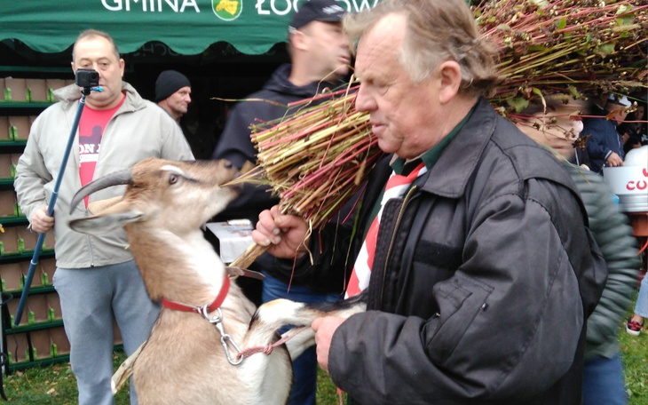 Zbiórka Na dach nad głową po eksmisji - zdjęcie główne