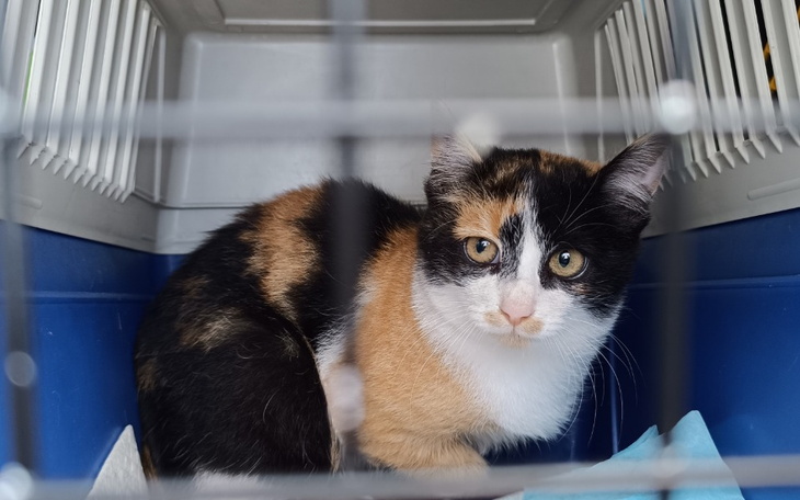 Zbiórka Ulka-Kolejne dziecko w potrzebie - zdjęcie główne