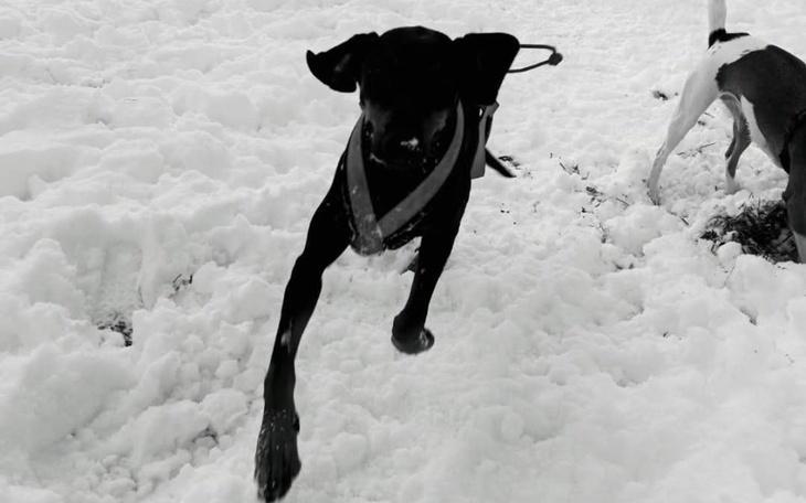 Zbiórka Mikołajkowa Radość Tropienia - zdjęcie główne