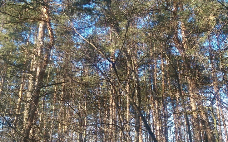 Zbiórka Edzia pomóż mi w spłacie - zdjęcie główne