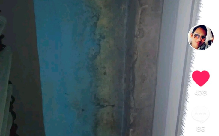 Zbiórka Cukrzyca/ cieliakia - zdjęcie główne