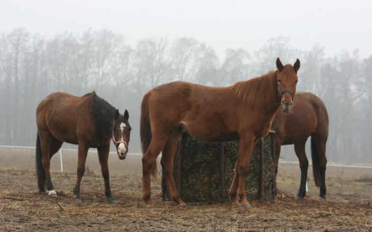 Zbiórka Aby życie mogło trwać dalej. - zdjęcie główne