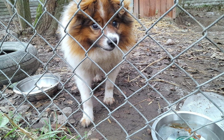 Zbiórka 1 za 1 Ty dajesz Ktoś daje - zdjęcie główne