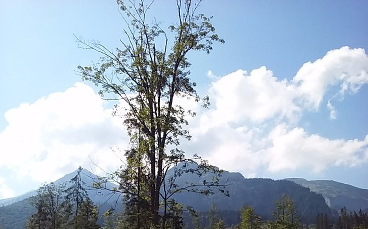 Zbiórka Nowe życie nowy JA - zdjęcie główne